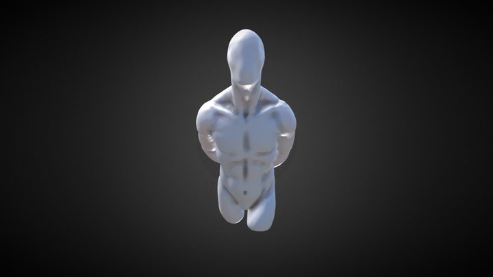 Obj Free Male Anatomy 3D Model
