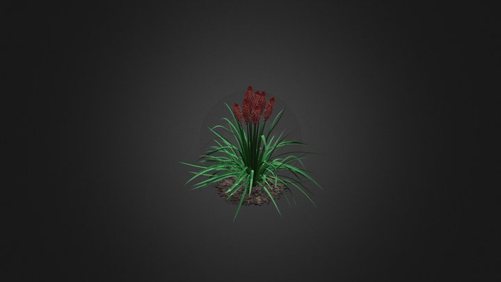 Kniphofia Plant (Tritoma) 3D Model
