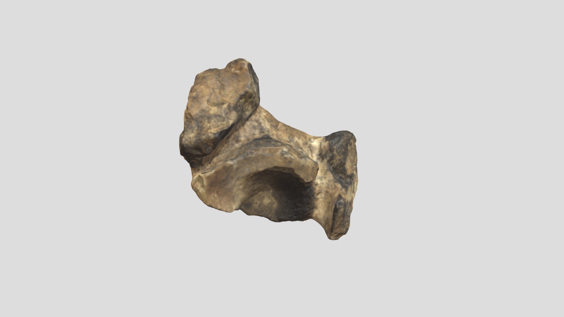 V4966 Mastodon Vertebra (VCU_3D_5116)