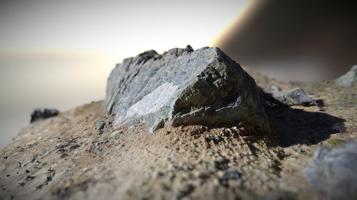 Coastal Rock 3D Model