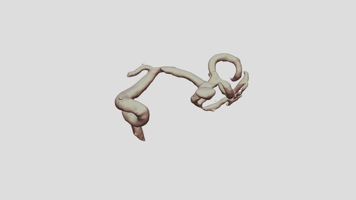 Web 3D SR File 3D Model