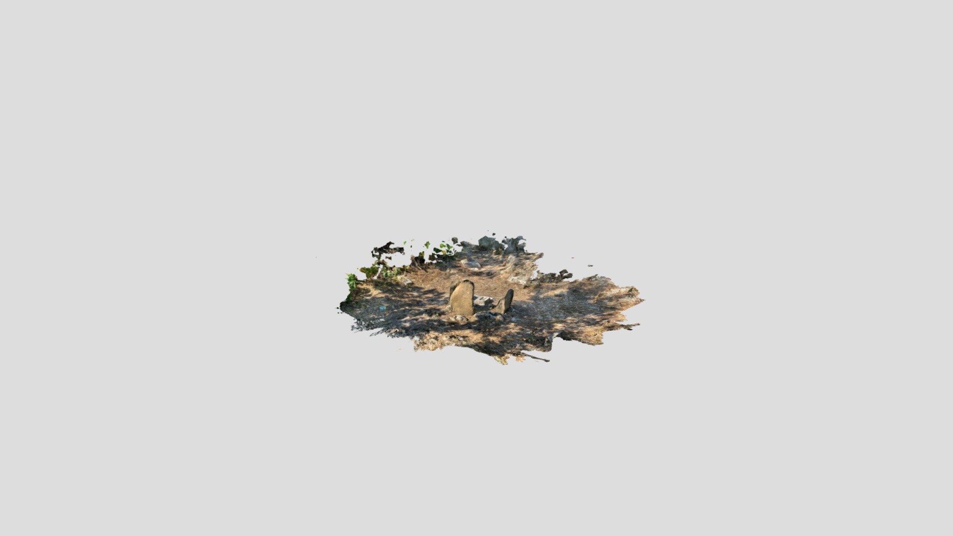 Untitled Scan