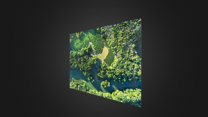 9 3D Model