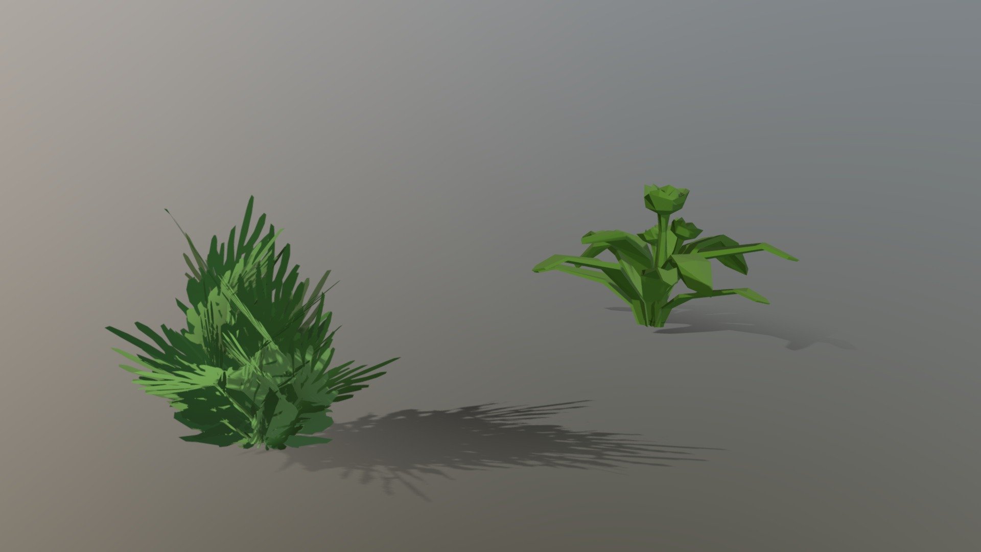 Bush And Plant