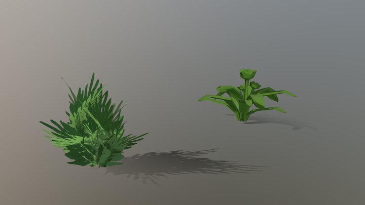 Bush And Plant 3D Model