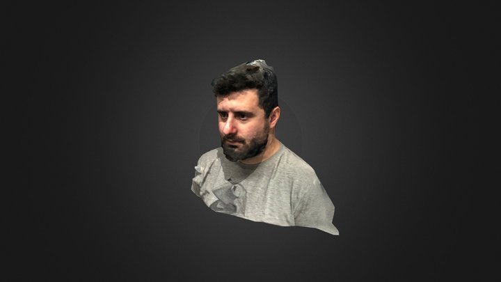 3D Self Portrait 3D Model