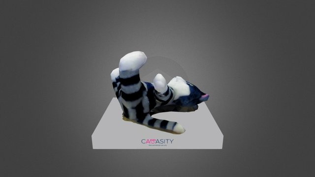 catty cat 3D Model