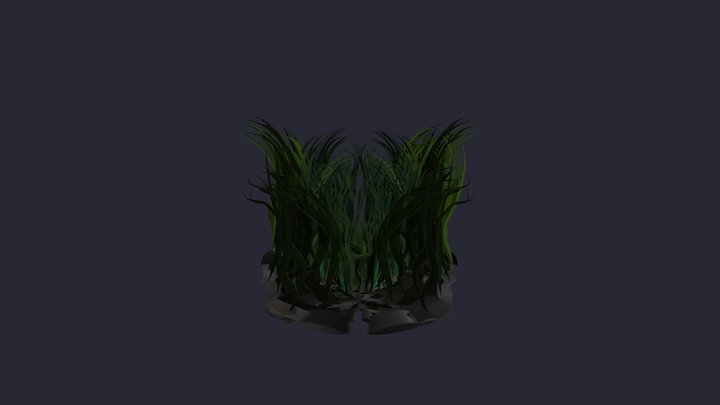 Reef wip backup 3D Model