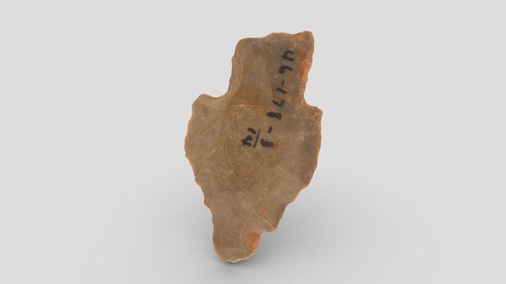 Middle Archaic Projectile Point 3D Model