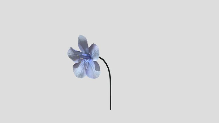 Blue Flower Animated 3D Model