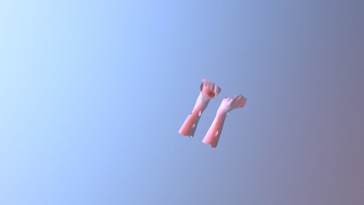 Feet colour 3D Model