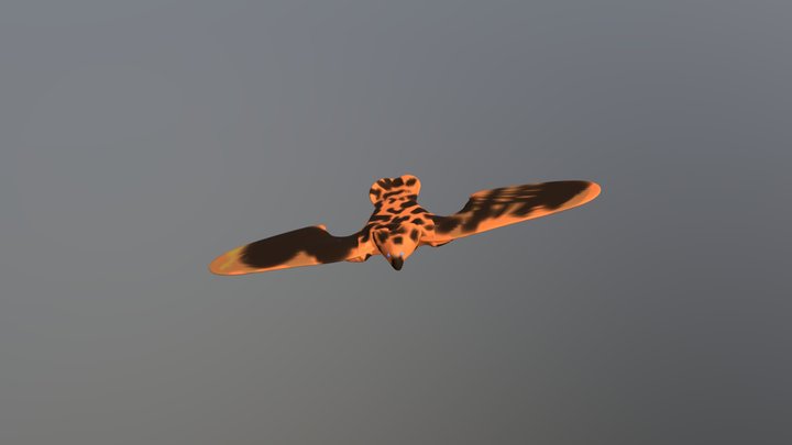 Falcon in Nomad Sculpt 3D Model
