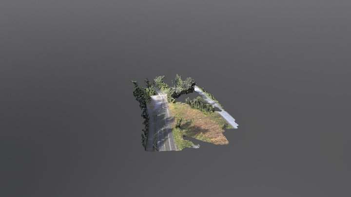 Rail Scene 3D Model