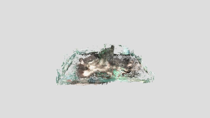 WCP RT Air spading - subsampled 0.38 3D Model