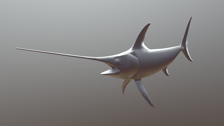 Broadbill Swordfish 3D Model