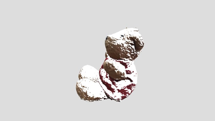 Cornell Bear 3D Model