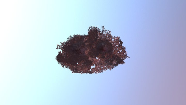 30 (2/3) 3D Model
