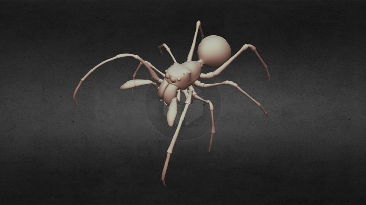 Giant Ant Mimicking Jumping Spider Final 3D Model