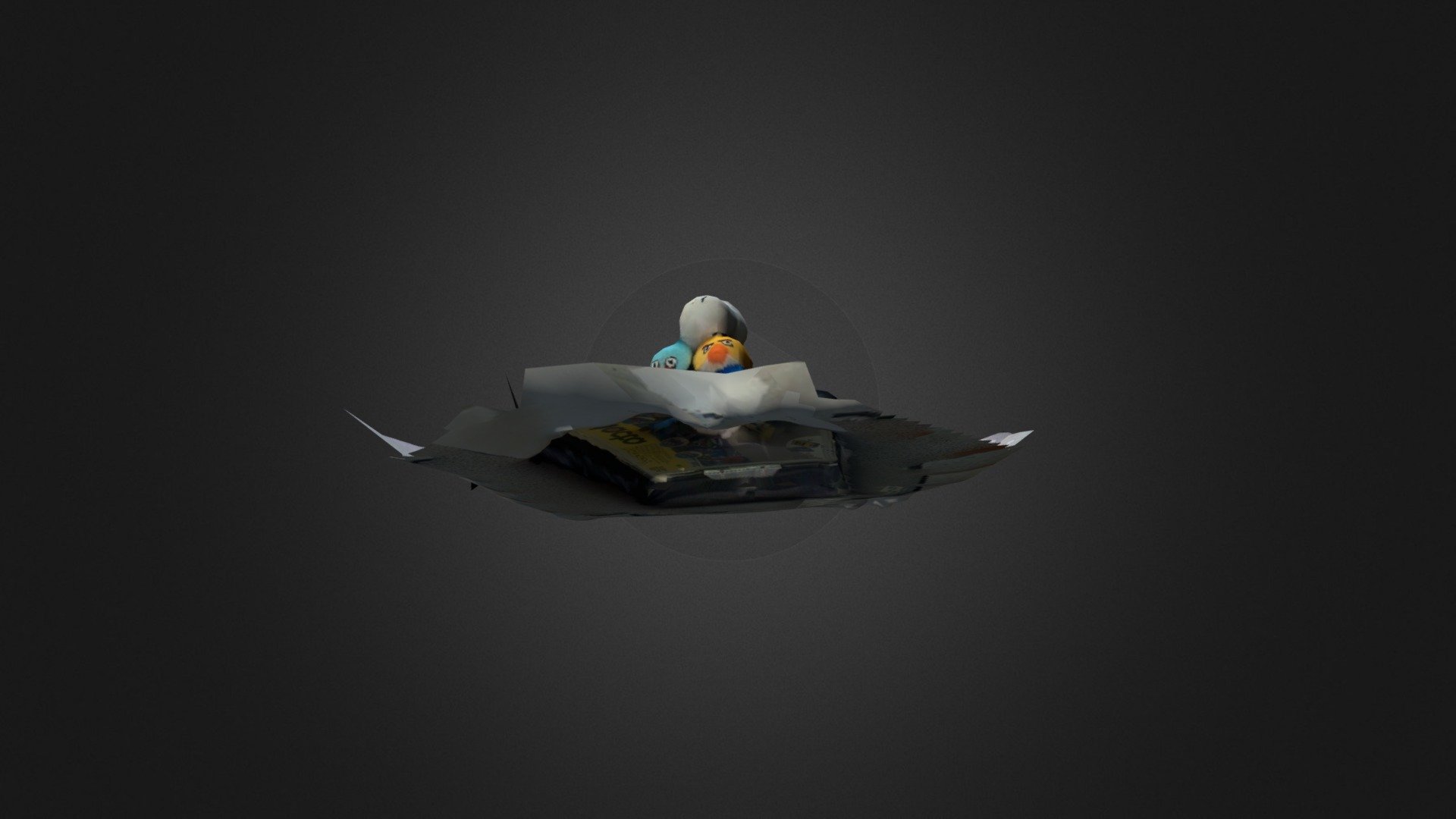Birds