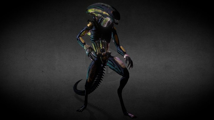 Alien Project 3D Model