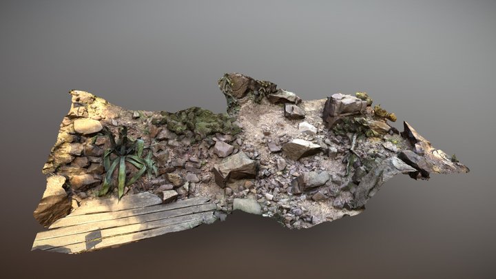 Rocks and plants 3D Model
