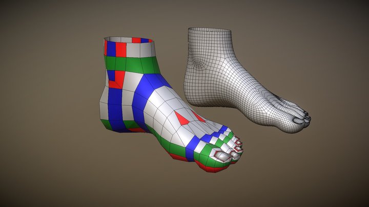 Foot Topology - CGCookie style (CC0) 3D Model