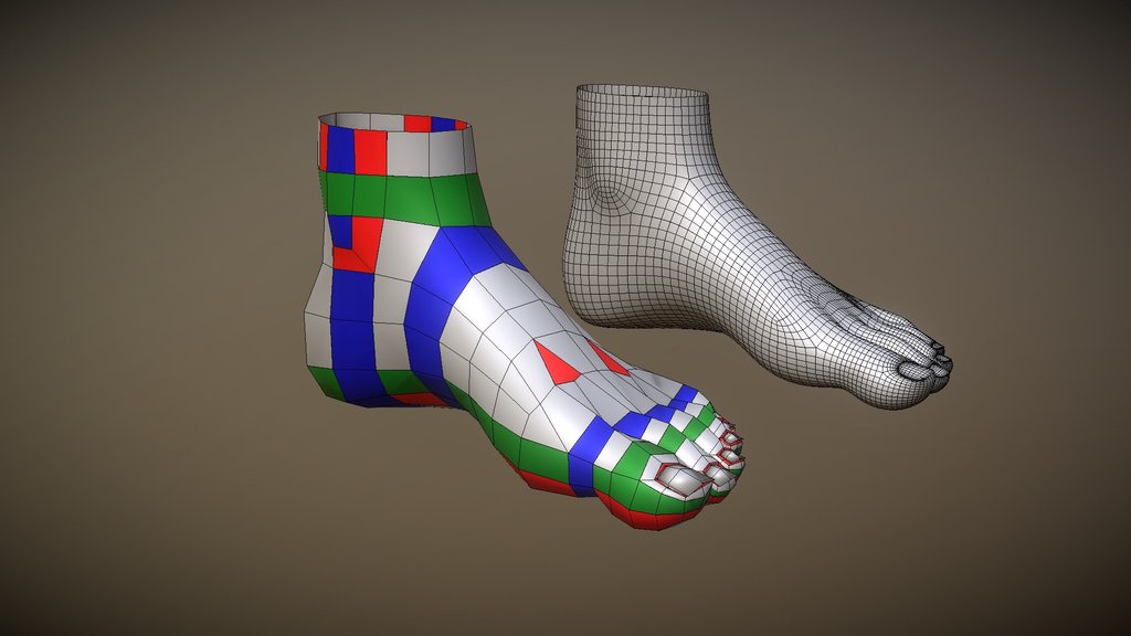 Foot Topology - CGCookie style (CC0)