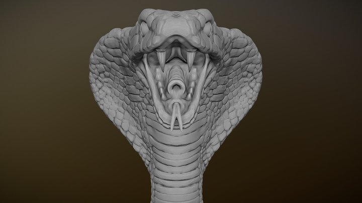 Cobra Head 3D Model