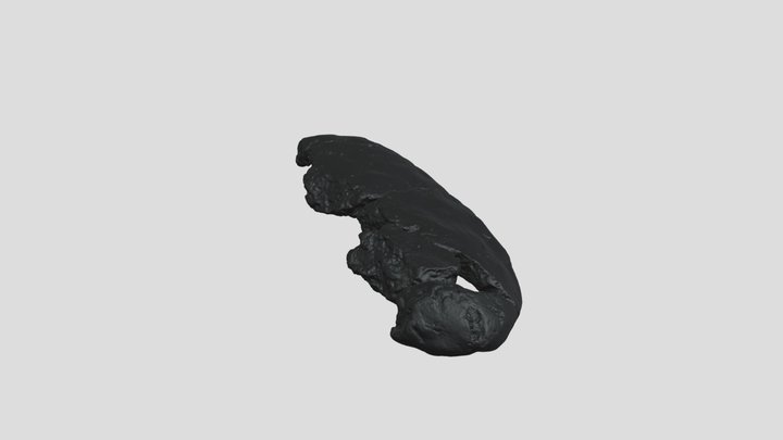 Shinmichi_8-157-417 3D Model