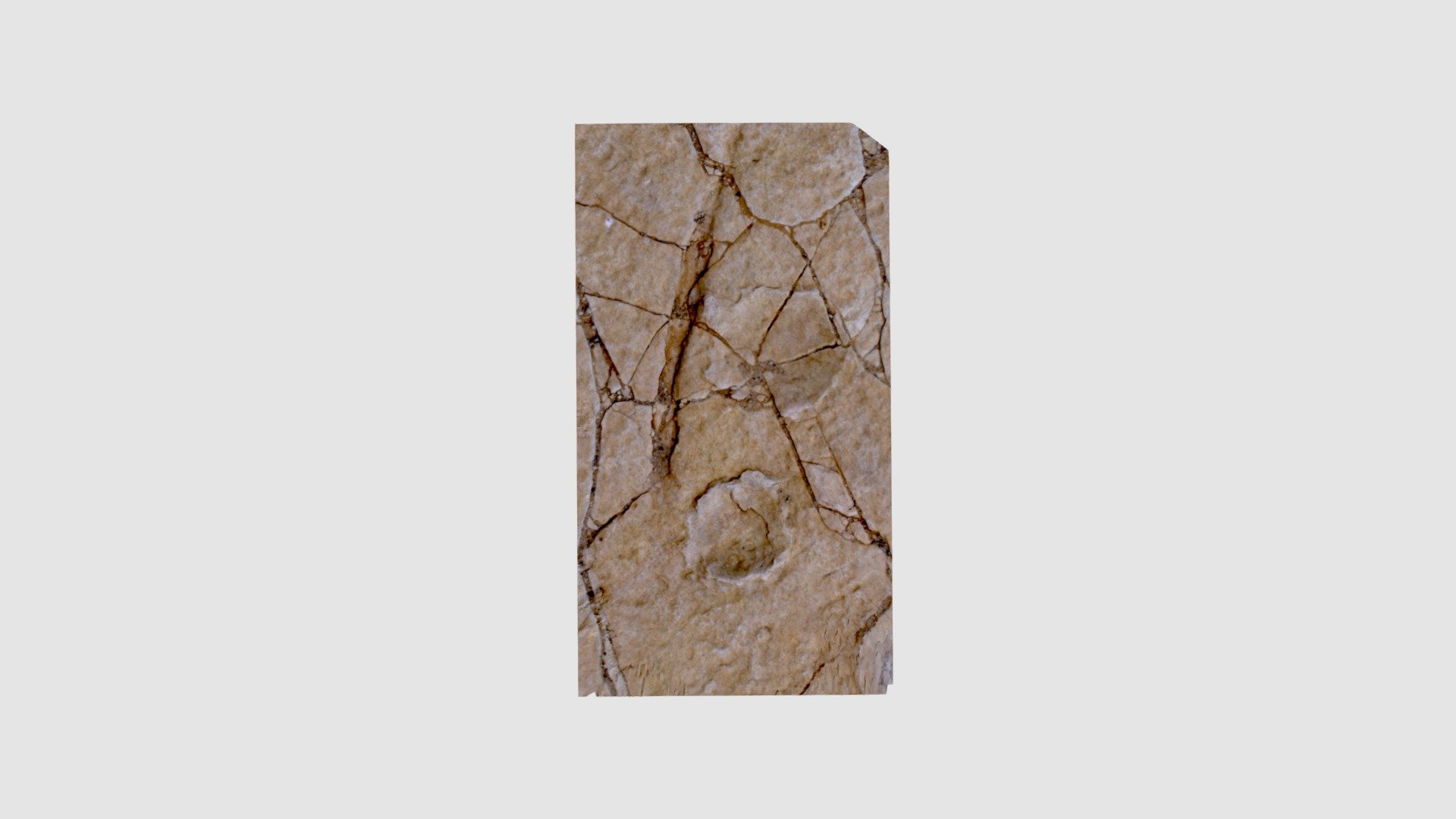 DinoPrints
