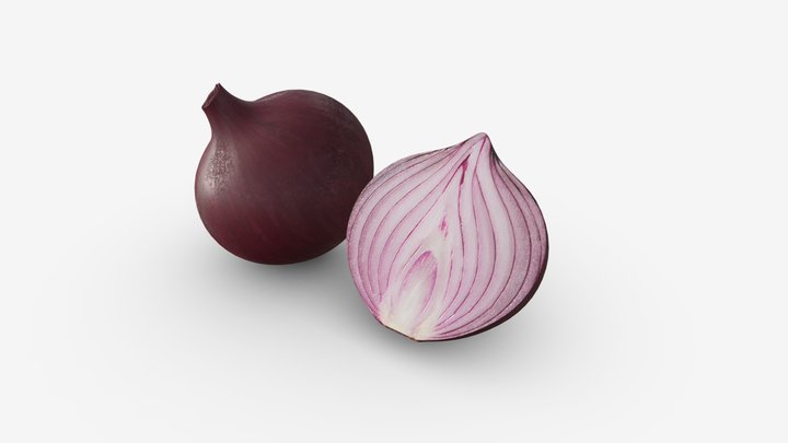 onion 3D Model