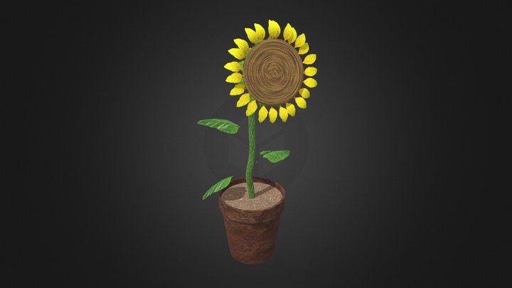 The Sunflower 3D Model
