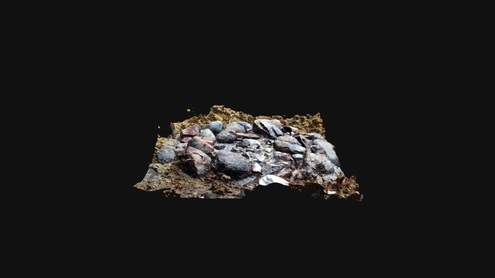 campfire-decimated 3D Model