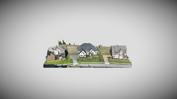 9189 Holstein 3D Model