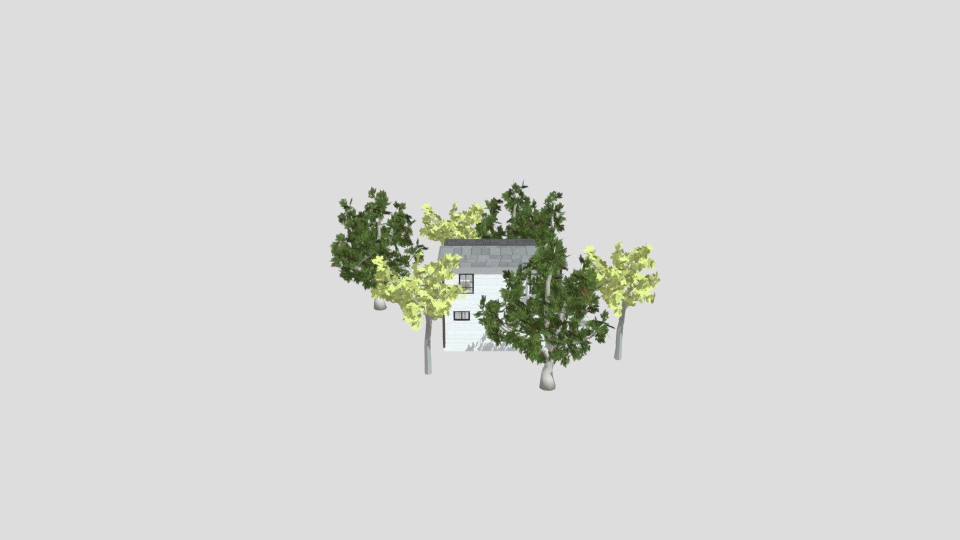 Loft house