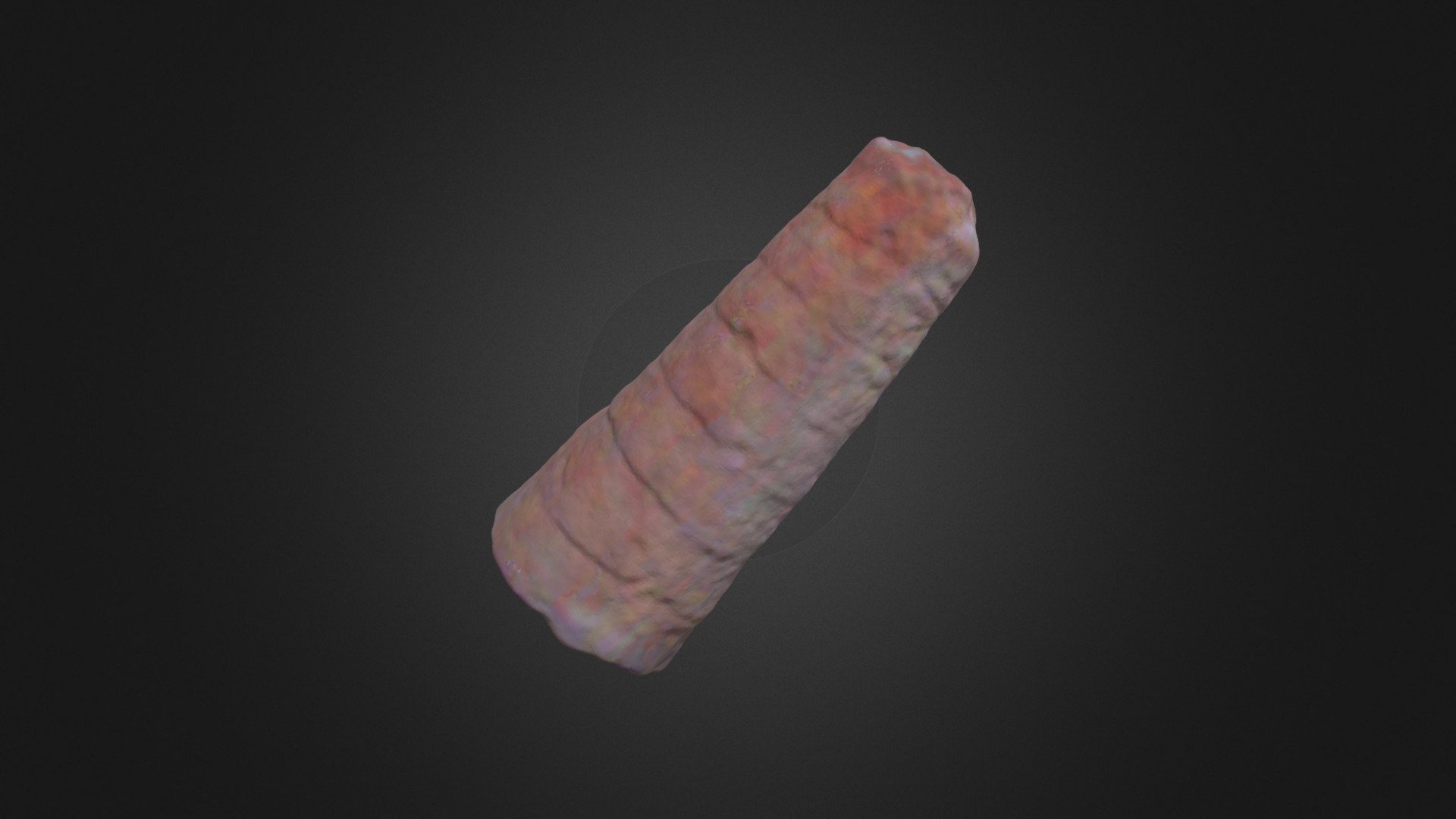 Orthoceras sp. — Sketchfab embed 3D viewer