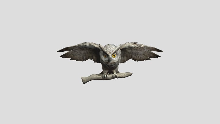Owl of Minerval 3D Model