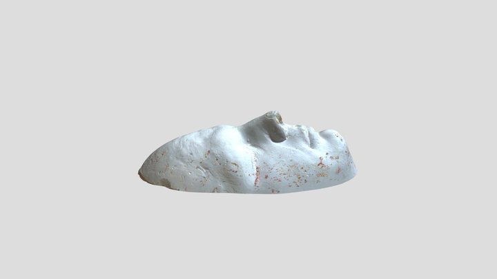 Ritratto_pigmentato_3_12_12_2023 3D Model