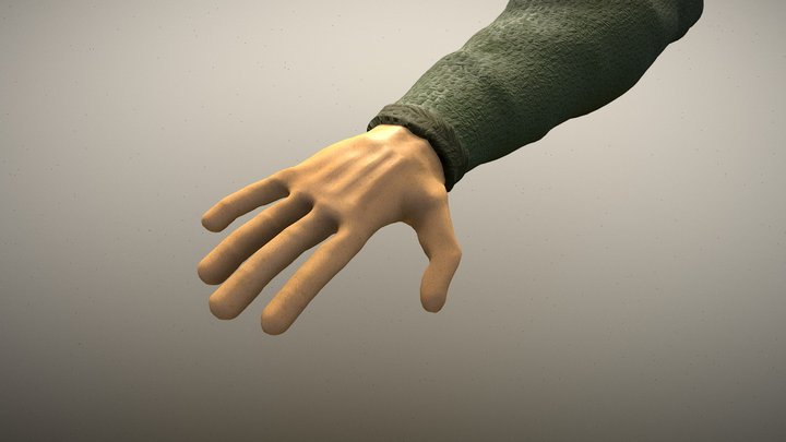FPS Arms 3D Model
