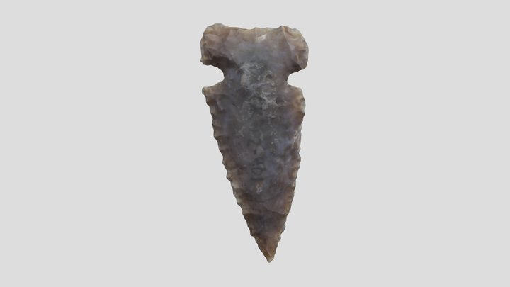 Side Notched Projectile Point, CK302-401 3D Model