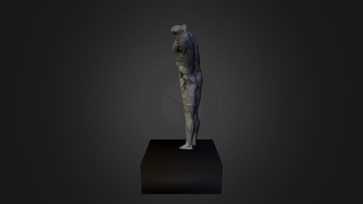 Archive 3D Model