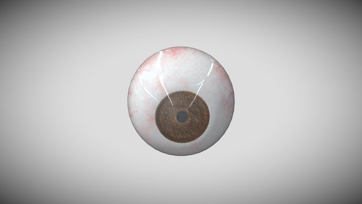 eye 3D Model