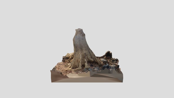 Large tree Stump in Hoeggenakkal 3D Model