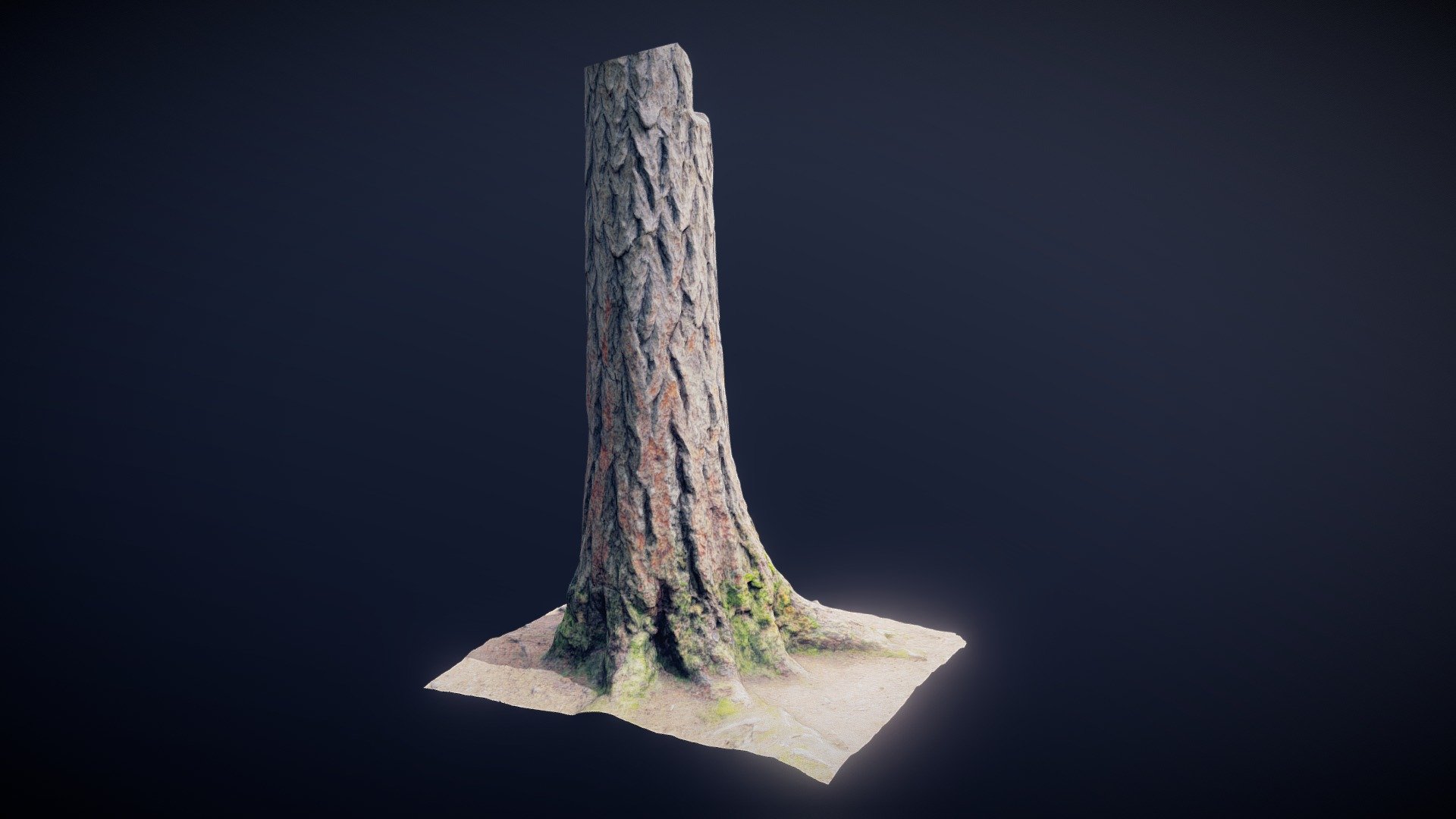 Larch [RAW]