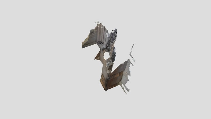 Fabia's_Ram_Head 3D Model