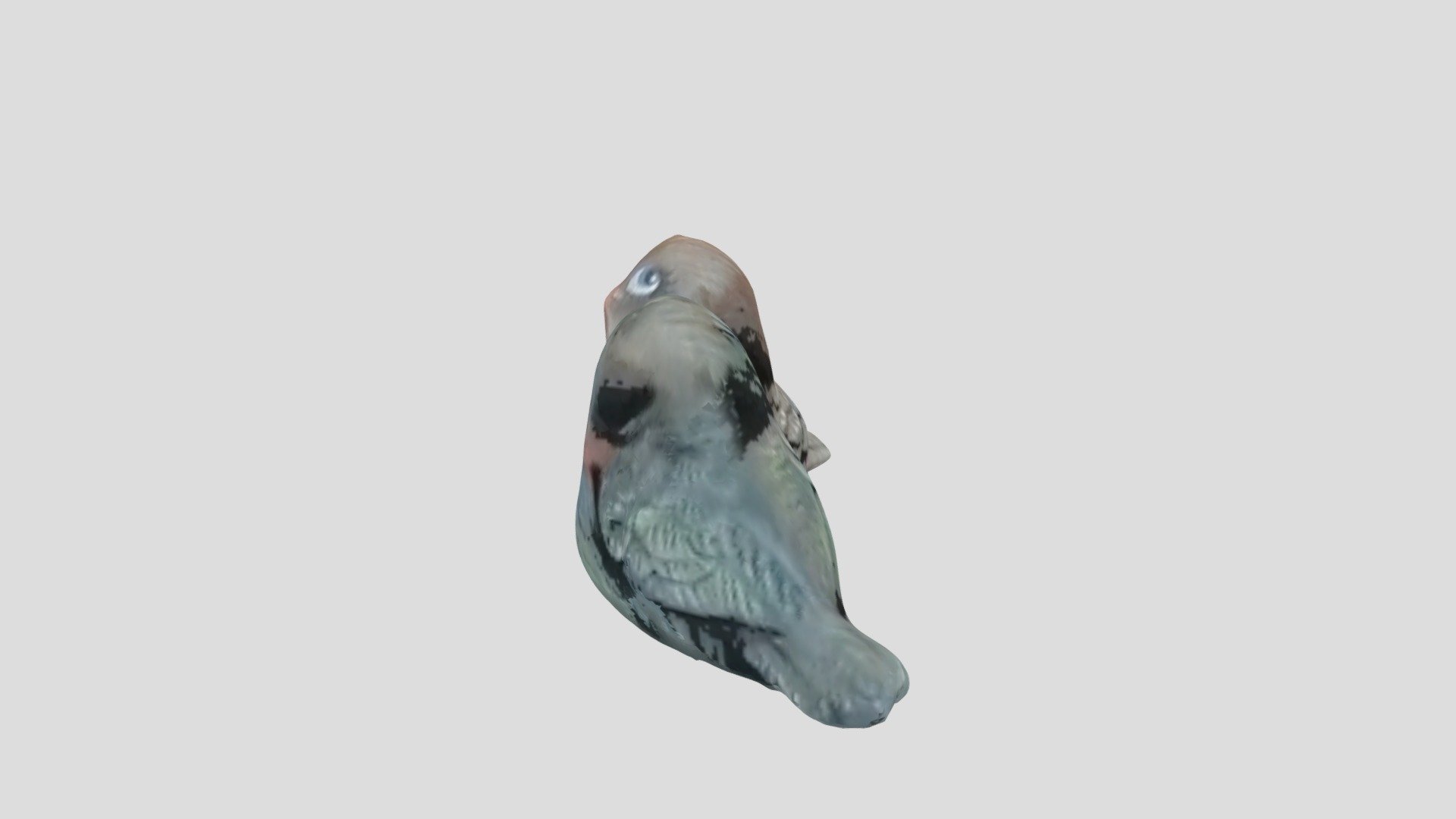 New Qlone
