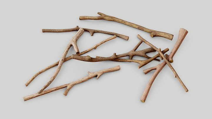 Sticks