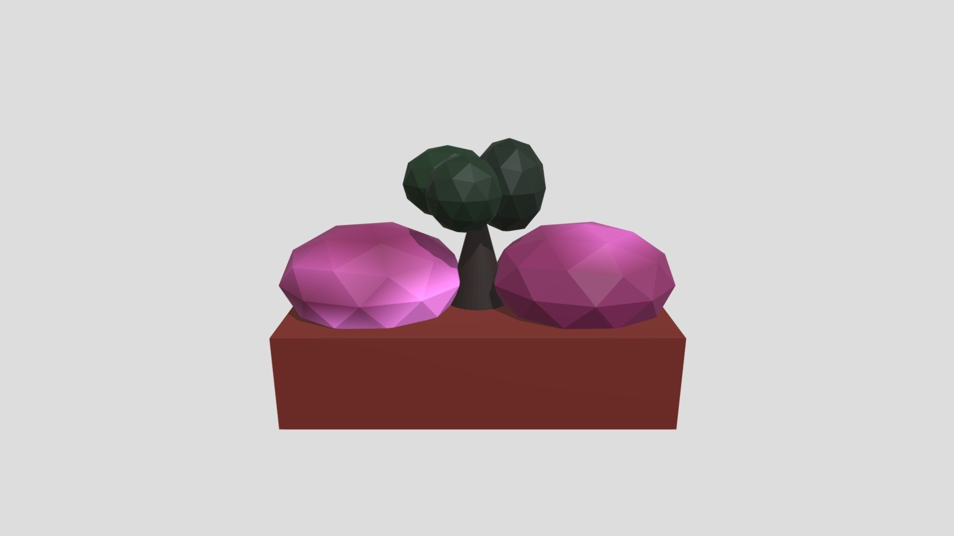 Plantbox1 5