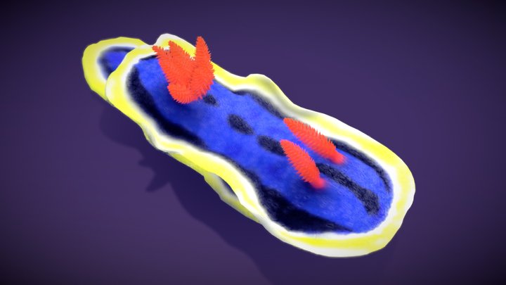 Sea Slug — Chromodoris Annae – Gratis 3D-model STL
