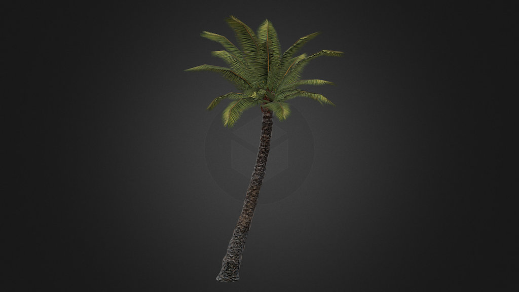 Palm-1